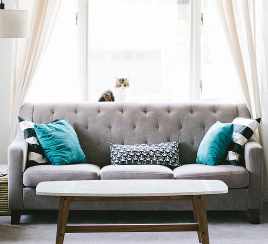 X_Elk_Skull_for_Wall_Natural_White-bc1042_bc1043_large