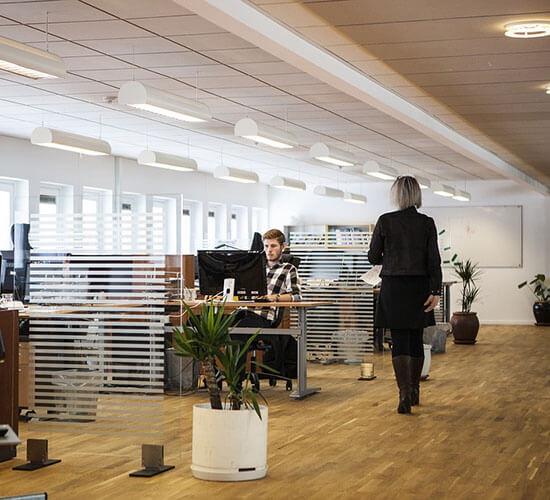 X_Elk_Skull_for_Wall_Natural_White-bc1042_bc1043_large